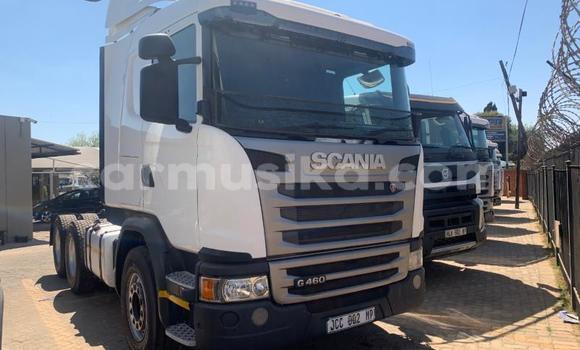 Acheter Occasion Utilitaire Scania R420 Blanc à Beitbridge, Matabeleland South Acheter Occasion Utilitaire Scania R420 Blanc à Beitbridge, Matabeleland South