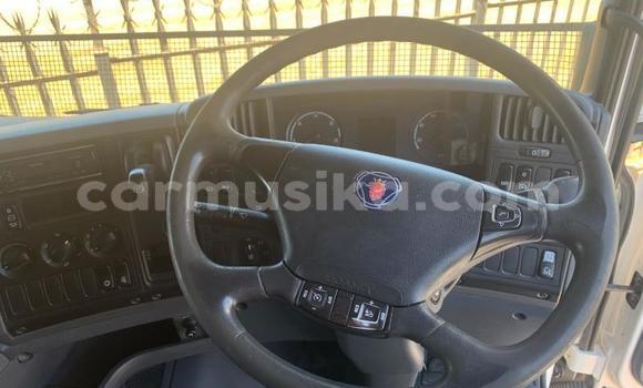 Acheter Occasion Utilitaire Scania R420 Blanc à Beitbridge, Matabeleland South Acheter Occasion Utilitaire Scania R420 Blanc à Beitbridge, Matabeleland South