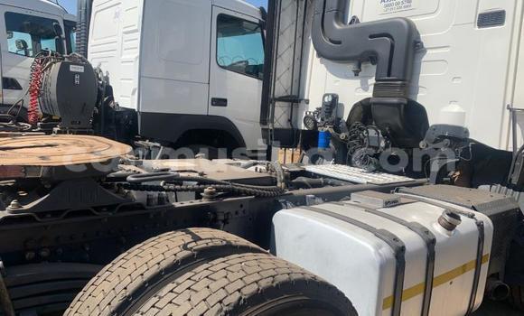 Acheter Occasion Utilitaire Scania R420 Blanc à Beitbridge, Matabeleland South Acheter Occasion Utilitaire Scania R420 Blanc à Beitbridge, Matabeleland South