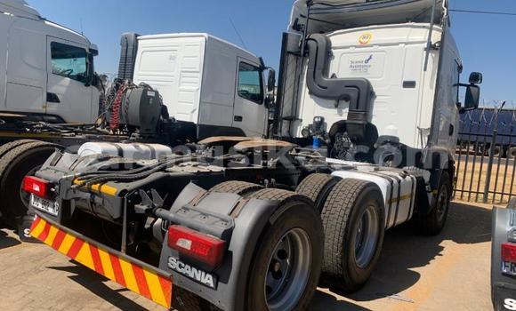 Acheter Occasion Utilitaire Scania R420 Blanc à Beitbridge, Matabeleland South Acheter Occasion Utilitaire Scania R420 Blanc à Beitbridge, Matabeleland South