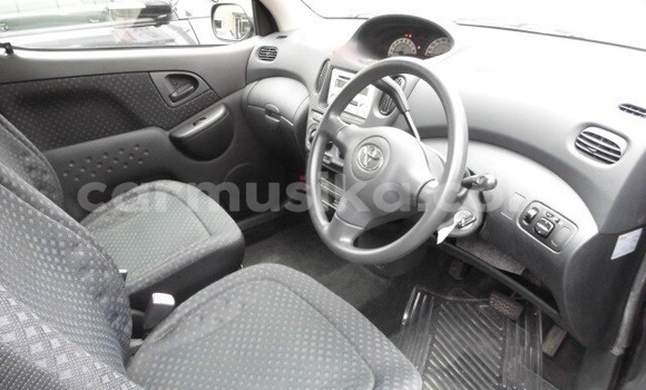 Acheter Occasion Voiture Toyota FunCargo Noir à Beitbridge, Matabeleland South Acheter Occasion Voiture Toyota FunCargo Noir à Beitbridge, Matabeleland South