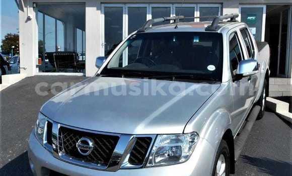 Tenga Tsaru Nissan Navara Sirivha Mota in Beitbridge in Matabeleland South