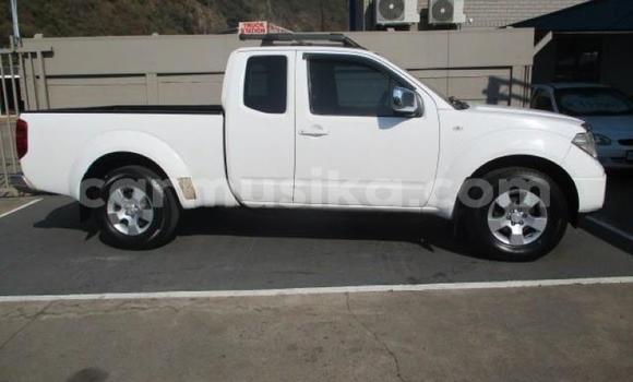 Tenga Tsaru Nissan Navara Chena Mota in Belvedere in Harare