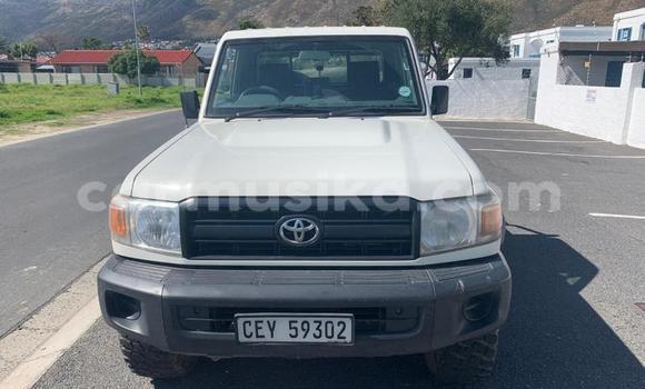 Tenga Tsaru Toyota Land Cruiser Chena Mota in Beitbridge in Matabeleland South