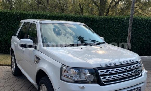 Acheter Occasion Voiture Land Rover Freelander Blanc à Beitbridge, Matabeleland South Acheter Occasion Voiture Land Rover Freelander Blanc à Beitbridge, Matabeleland South