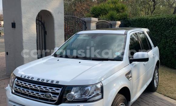 Acheter Occasion Voiture Land Rover Freelander Blanc à Beitbridge, Matabeleland South Acheter Occasion Voiture Land Rover Freelander Blanc à Beitbridge, Matabeleland South