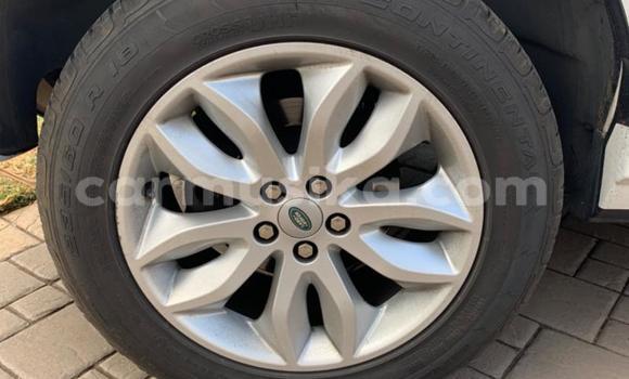 Acheter Occasion Voiture Land Rover Freelander Blanc à Beitbridge, Matabeleland South Acheter Occasion Voiture Land Rover Freelander Blanc à Beitbridge, Matabeleland South