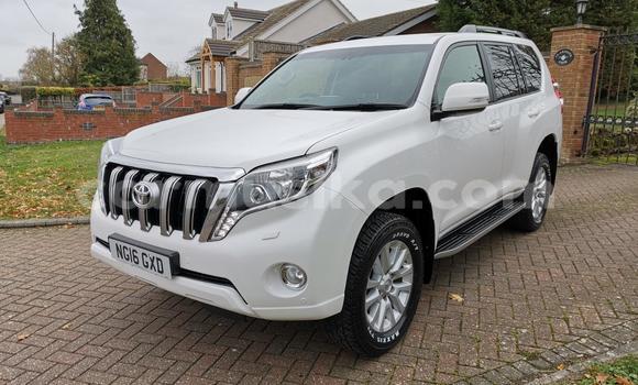 Tenga Tsaru Toyota Land Cruiser Prado Chena Mota in Harare in Harare Tenga Tsaru Toyota Land Cruiser Prado Chena Mota in Harare in Harare