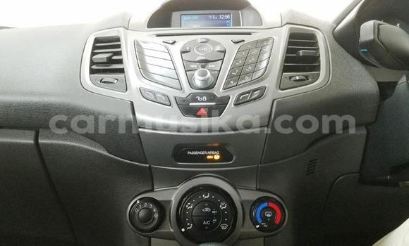 Tenga Tsaru Ford Fiesta Chena Mota in Beitbridge in Matabeleland South Tenga Tsaru Ford Fiesta Chena Mota in Beitbridge in Matabeleland South