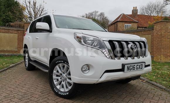 Tenga Tsaru Toyota Land Cruiser Prado Chena Mota in Harare in Harare Tenga Tsaru Toyota Land Cruiser Prado Chena Mota in Harare in Harare