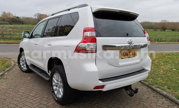 Tenga Tsaru Toyota Land Cruiser Prado Chena Mota in Harare in Harare Tenga Tsaru Toyota Land Cruiser Prado Chena Mota in Harare in Harare