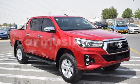 Acheter Occasion Voiture Toyota Hilux Rouge à Beitbridge, Matabeleland South Acheter Occasion Voiture Toyota Hilux Rouge à Beitbridge, Matabeleland South