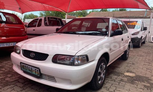 Tenga Tsaru Toyota Surf Chena Mota in Beitbridge in Matabeleland South