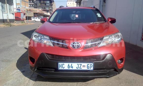 Buy Used Toyota RAV4 Red Car in Harare in Harare