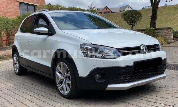 Buy Used Volkswagen Polo White Car in Harare in Harare