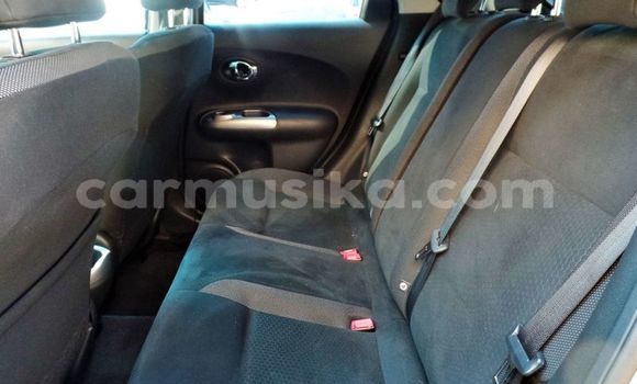 Buy Used Nissan Juke Brown Car in Beitbridge in Matabeleland South Buy Used Nissan Juke Brown Car in Beitbridge in Matabeleland South