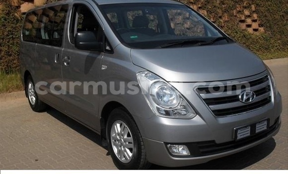 Tenga Tsaru Hyundai H1 Sirivha Mota in Beitbridge in Matabeleland South
