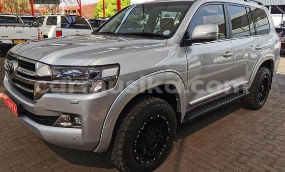 Buy Used Toyota Land Cruiser Prado Silver Car in Beitbridge in Matabeleland South