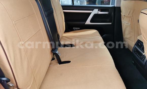 Nunua Ilio tumika Toyota Land Cruiser Prado Fedha Gari ndani ya Beitbridge nchini Matabeleland Kusini Nunua Ilio tumika Toyota Land Cruiser Prado Fedha Gari ndani ya Beitbridge nchini Matabeleland Kusini