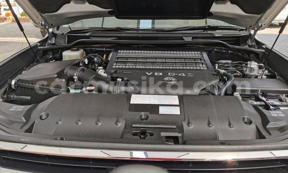 Nunua Ilio tumika Toyota Land Cruiser Prado Fedha Gari ndani ya Beitbridge nchini Matabeleland Kusini Nunua Ilio tumika Toyota Land Cruiser Prado Fedha Gari ndani ya Beitbridge nchini Matabeleland Kusini