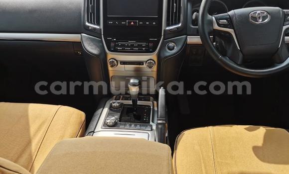 Nunua Ilio tumika Toyota Land Cruiser Prado Fedha Gari ndani ya Beitbridge nchini Matabeleland Kusini Nunua Ilio tumika Toyota Land Cruiser Prado Fedha Gari ndani ya Beitbridge nchini Matabeleland Kusini
