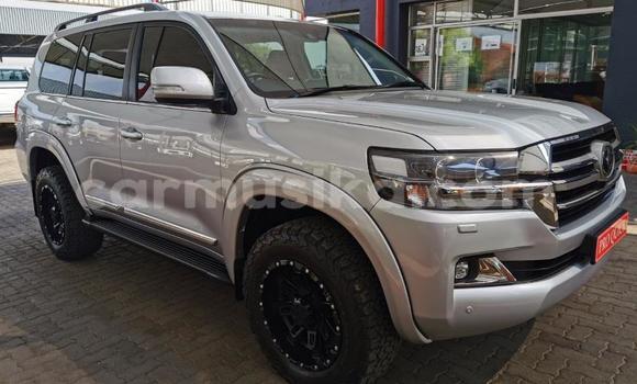 Nunua Ilio tumika Toyota Land Cruiser Prado Fedha Gari ndani ya Beitbridge nchini Matabeleland Kusini Nunua Ilio tumika Toyota Land Cruiser Prado Fedha Gari ndani ya Beitbridge nchini Matabeleland Kusini