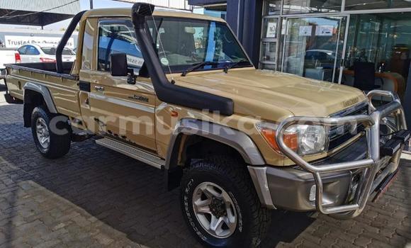 Tenga Tsaru Toyota Land Cruiser Zvimwe Mota in Beitbridge in Matabeleland South