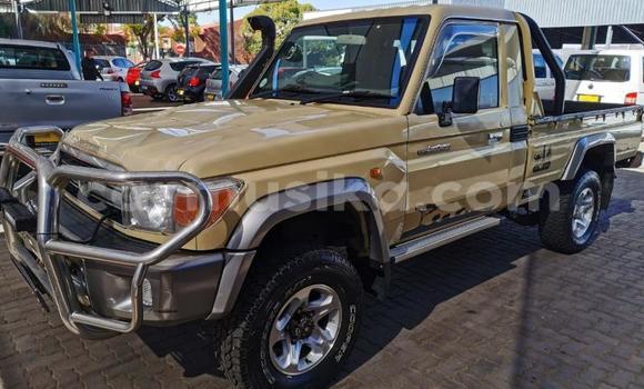 Buy Used Toyota Land Cruiser Other Car in Beitbridge in Matabeleland South Buy Used Toyota Land Cruiser Other Car in Beitbridge in Matabeleland South