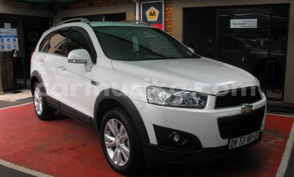Buy Used Chevrolet Captiva White Car in Beitbridge in Matabeleland South Buy Used Chevrolet Captiva White Car in Beitbridge in Matabeleland South