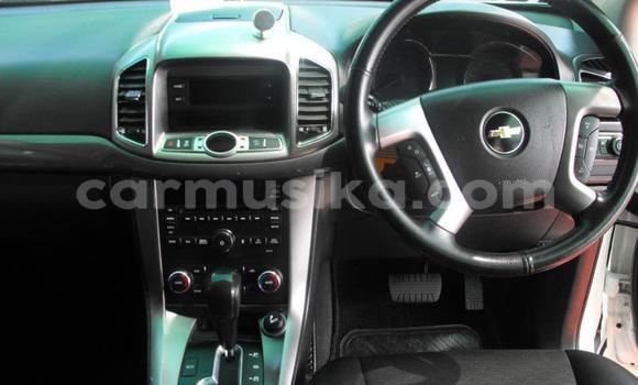 Buy Used Chevrolet Captiva White Car in Beitbridge in Matabeleland South Buy Used Chevrolet Captiva White Car in Beitbridge in Matabeleland South