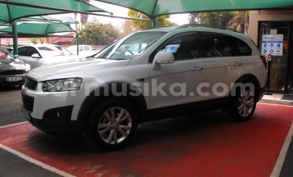 Buy Used Chevrolet Captiva White Car in Beitbridge in Matabeleland South Buy Used Chevrolet Captiva White Car in Beitbridge in Matabeleland South