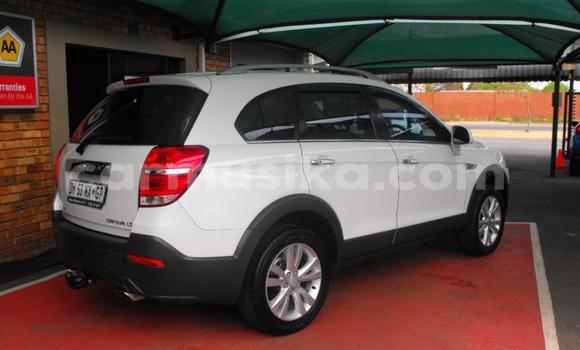 Buy Used Chevrolet Captiva White Car in Beitbridge in Matabeleland South Buy Used Chevrolet Captiva White Car in Beitbridge in Matabeleland South