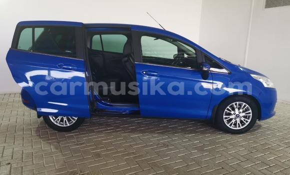 Tenga Tsaru Ford B-MAX Bhuruu Mota in Beitbridge in Matabeleland South Tenga Tsaru Ford B-MAX Bhuruu Mota in Beitbridge in Matabeleland South