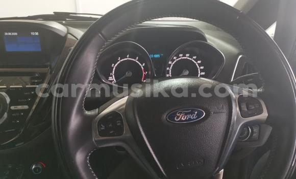 Tenga Tsaru Ford B-MAX Bhuruu Mota in Beitbridge in Matabeleland South Tenga Tsaru Ford B-MAX Bhuruu Mota in Beitbridge in Matabeleland South