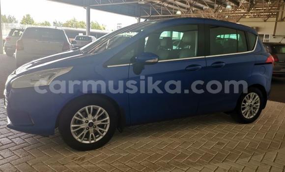 Tenga Tsaru Ford B-MAX Bhuruu Mota in Beitbridge in Matabeleland South Tenga Tsaru Ford B-MAX Bhuruu Mota in Beitbridge in Matabeleland South