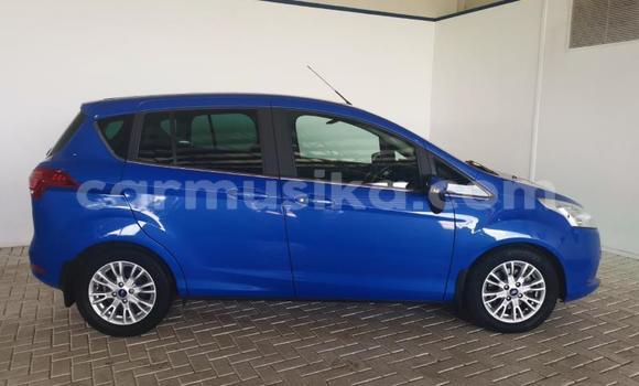Tenga Tsaru Ford B-MAX Bhuruu Mota in Beitbridge in Matabeleland South Tenga Tsaru Ford B-MAX Bhuruu Mota in Beitbridge in Matabeleland South