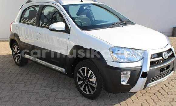 Buy Used Toyota Etios White Car in Beitbridge in Matabeleland South