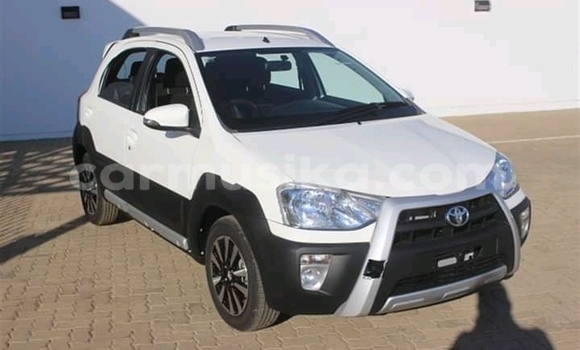 Buy Used Toyota Yaris White Car in Beitbridge in Matabeleland South Buy Used Toyota Yaris White Car in Beitbridge in Matabeleland South