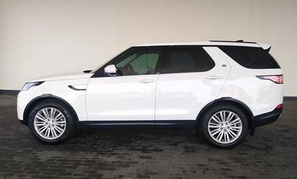 Tenga Tsaru Land Rover Discovery Chena Mota in Harare in Harare Tenga Tsaru Land Rover Discovery Chena Mota in Harare in Harare