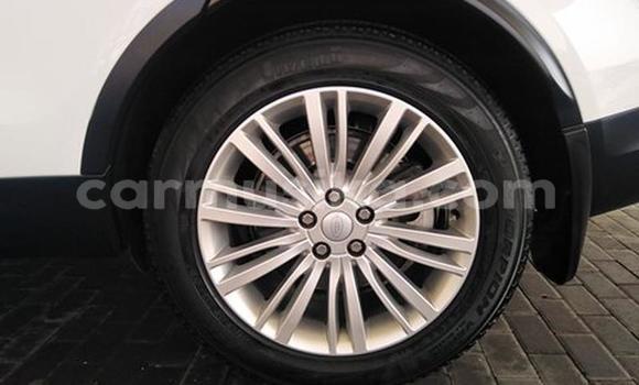 Tenga Tsaru Land Rover Discovery Chena Mota in Harare in Harare Tenga Tsaru Land Rover Discovery Chena Mota in Harare in Harare