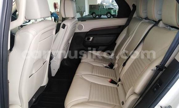 Tenga Tsaru Land Rover Discovery Chena Mota in Harare in Harare Tenga Tsaru Land Rover Discovery Chena Mota in Harare in Harare