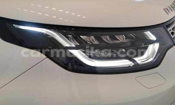 Tenga Tsaru Land Rover Discovery Chena Mota in Harare in Harare Tenga Tsaru Land Rover Discovery Chena Mota in Harare in Harare