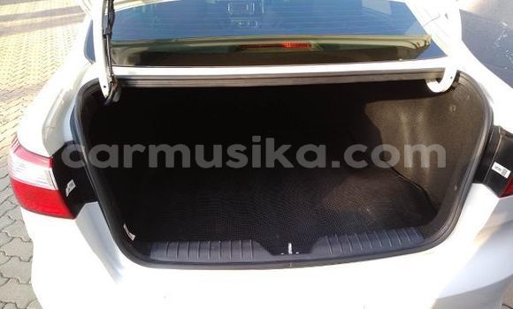 Tenga Tsaru Kia Rio Chena Mota in Beitbridge in Matabeleland South Tenga Tsaru Kia Rio Chena Mota in Beitbridge in Matabeleland South