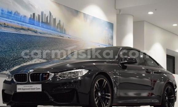 Tenga Tsaru BMW M4 Nhema Mota in Import - Dubai in Harare Tenga Tsaru BMW M4 Nhema Mota in Import - Dubai in Harare