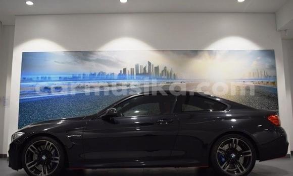 Tenga Tsaru BMW M4 Nhema Mota in Import - Dubai in Harare Tenga Tsaru BMW M4 Nhema Mota in Import - Dubai in Harare