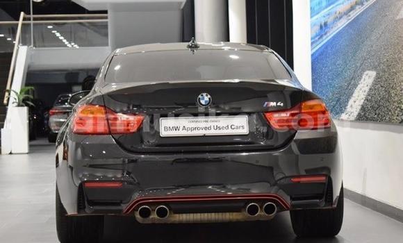 Tenga Tsaru BMW M4 Nhema Mota in Import - Dubai in Harare Tenga Tsaru BMW M4 Nhema Mota in Import - Dubai in Harare