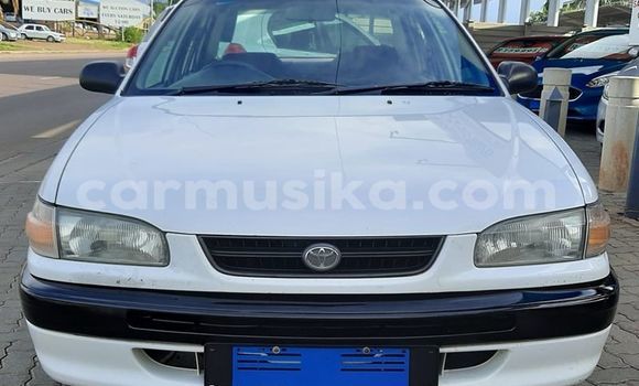 Buy Used Toyota Corolla White Car in Beitbridge in Matabeleland South Buy Used Toyota Corolla White Car in Beitbridge in Matabeleland South