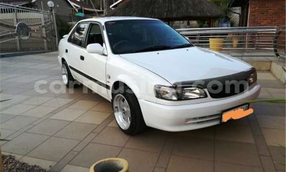 Buy Used Toyota Corolla White Car in Beitbridge in Matabeleland South