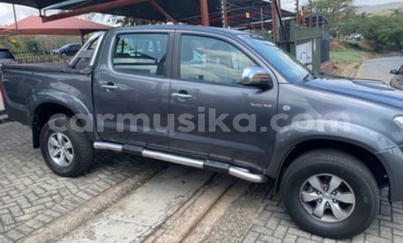 Nunua Ilio tumika Toyota Hilux Nyingine Gari ndani ya Beitbridge nchini Matabeleland Kusini Nunua Ilio tumika Toyota Hilux Nyingine Gari ndani ya Beitbridge nchini Matabeleland Kusini