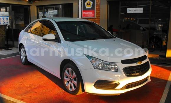 Buy Used Chevrolet Cruze White Car in Beitbridge in Matabeleland South